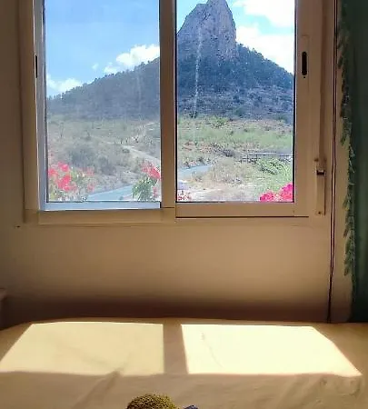 Casa Pura Vida