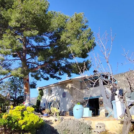 Casa Pura Vida Bed & Breakfast